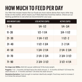 The Honest Kitchen - Clusters - Whole Grain Chicken & Oat Recipe Dog Dry Food - Southern Agriculture 