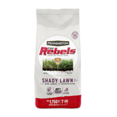 Pennington - Grass Seed Rebel Fescue Shady Lawn Covers