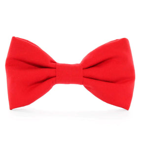 The Foggy Dog - Dog Bow Tie Ruby - Southern Agriculture 