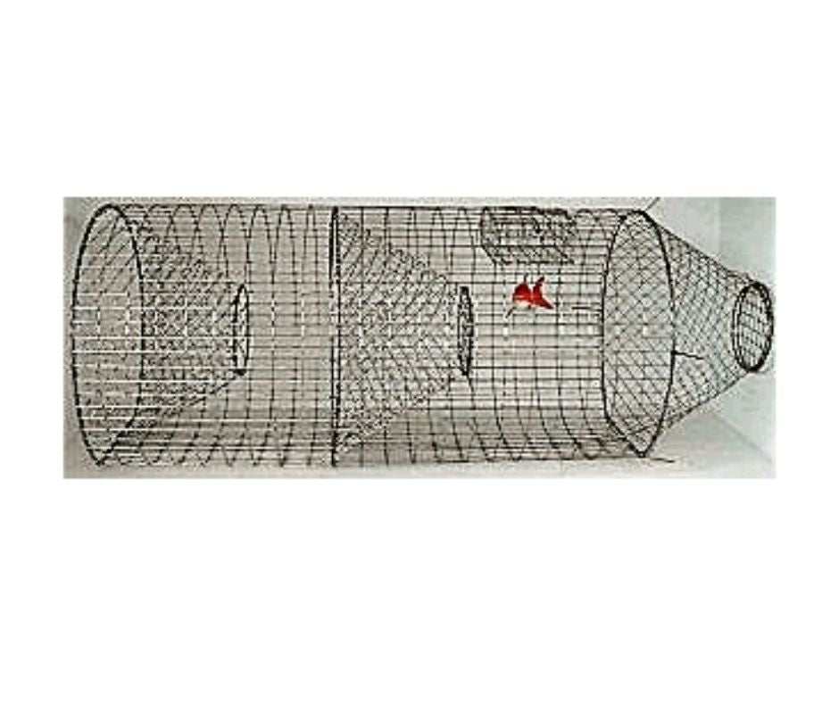 Pied Piper - Trap for Catfish & Rough Fish-Southern Agriculture