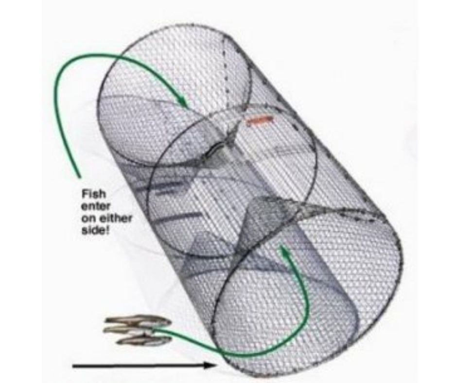 Pied Piper - Perch Trap (Barrel)-Southern Agriculture