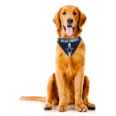 Little Earth Productions - Dallas Cowboys Bandana Reversible for Dogs & Cats