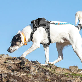 Pet Safe-Kurgo - Stash N' Dash Harness