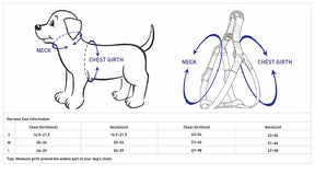 Blueberry Pet - Bahamas Vacation Dog Harness
