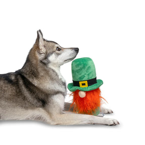 Midlee - St. Patrick's Gnome Hide-A-Ball Dog Toy - Southern Agriculture 