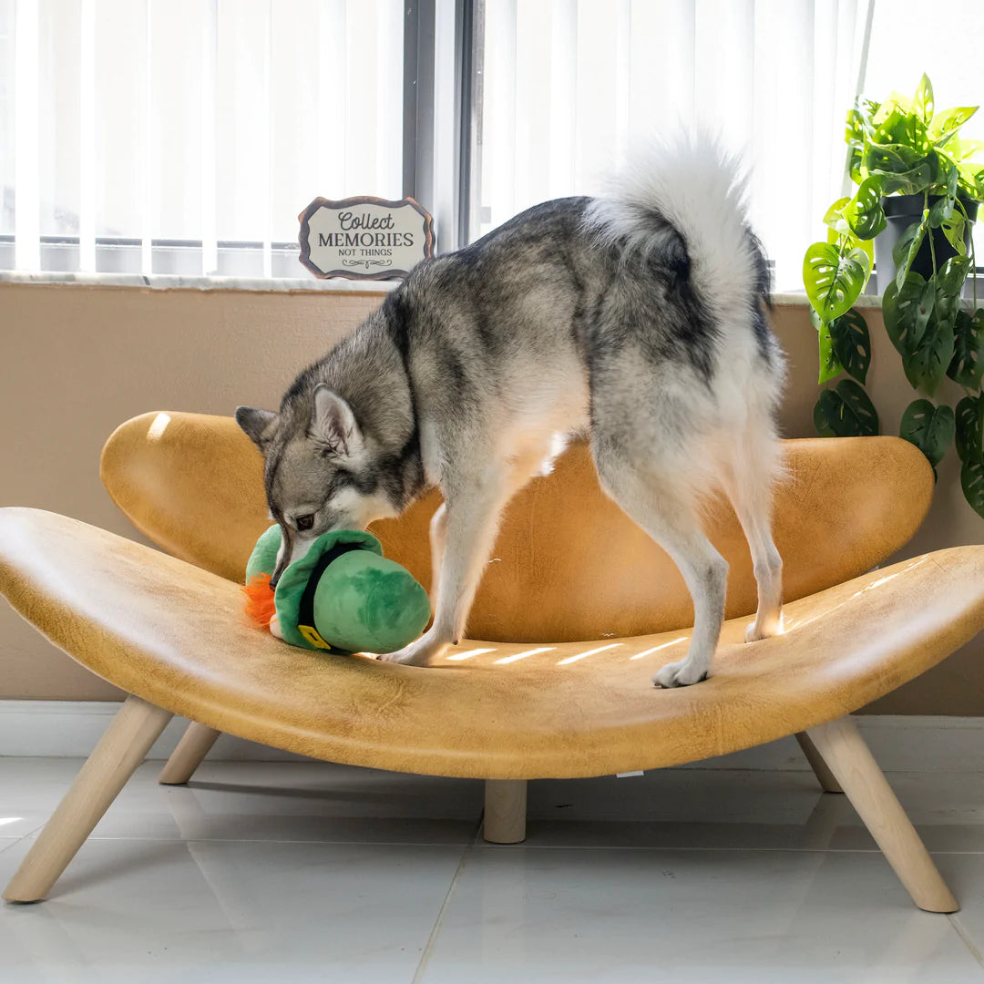 Midlee - St. Patrick's Gnome Hide-A-Ball Dog Toy - Southern Agriculture 
