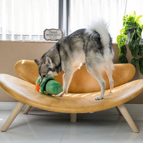 Midlee - St. Patrick's Gnome Hide-A-Ball Dog Toy - Southern Agriculture 