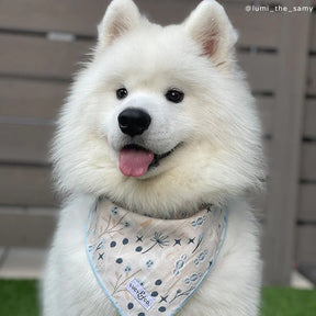 Lucy & Co - Bandana At First Frost - Southern Agriculture 