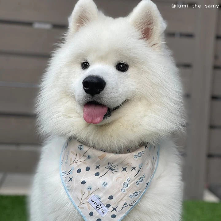 Lucy & Co - Bandana At First Frost - Southern Agriculture 