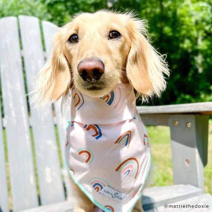 Lucy & Co - Bandana In the Clouds Rainbows - Southern Agriculture 