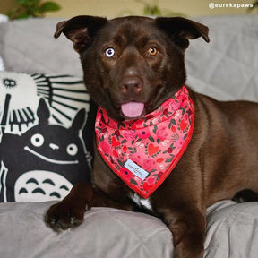 Lucy & Co - Bandana Posy Pink - Southern Agriculture 
