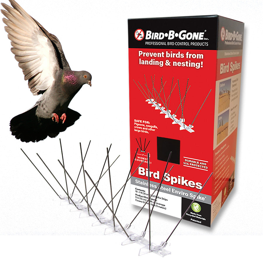 BFG Supply Company - Bird-B-Gone Bird Spike