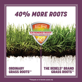 Pennington - Grass Seed Rebel Fescue Shady Lawn Covers