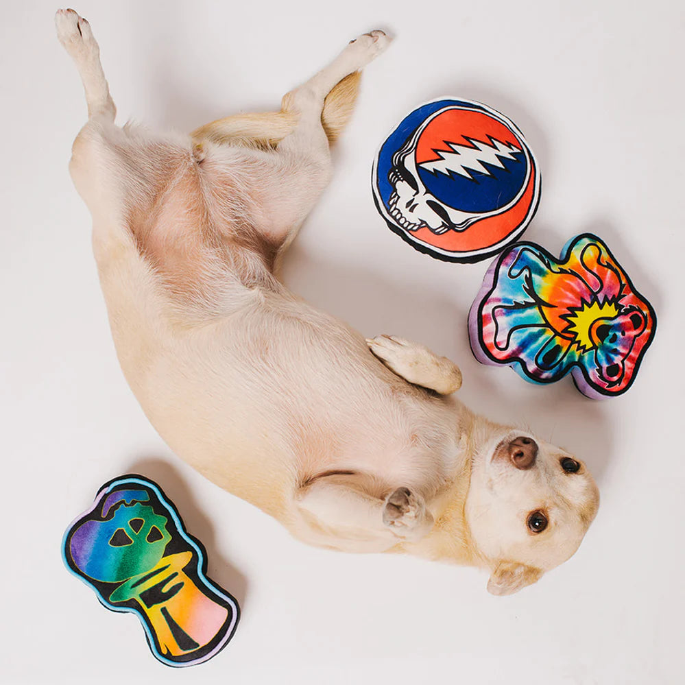 Buckle Down - Grateful Dead Skeleton Head Dog Toy - Southern Agriculture 