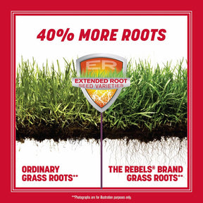 Pennington - Grass Seed Rebel Tall Fescue