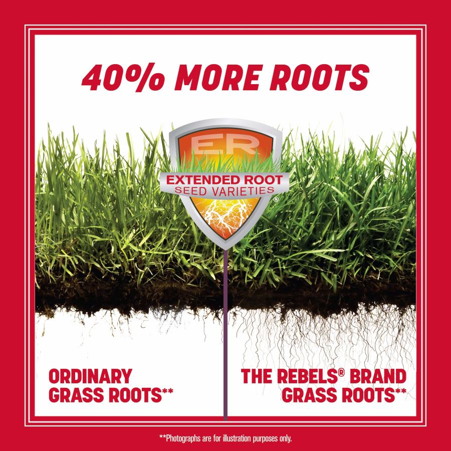 Pennington - Grass Seed Rebel Tall Fescue