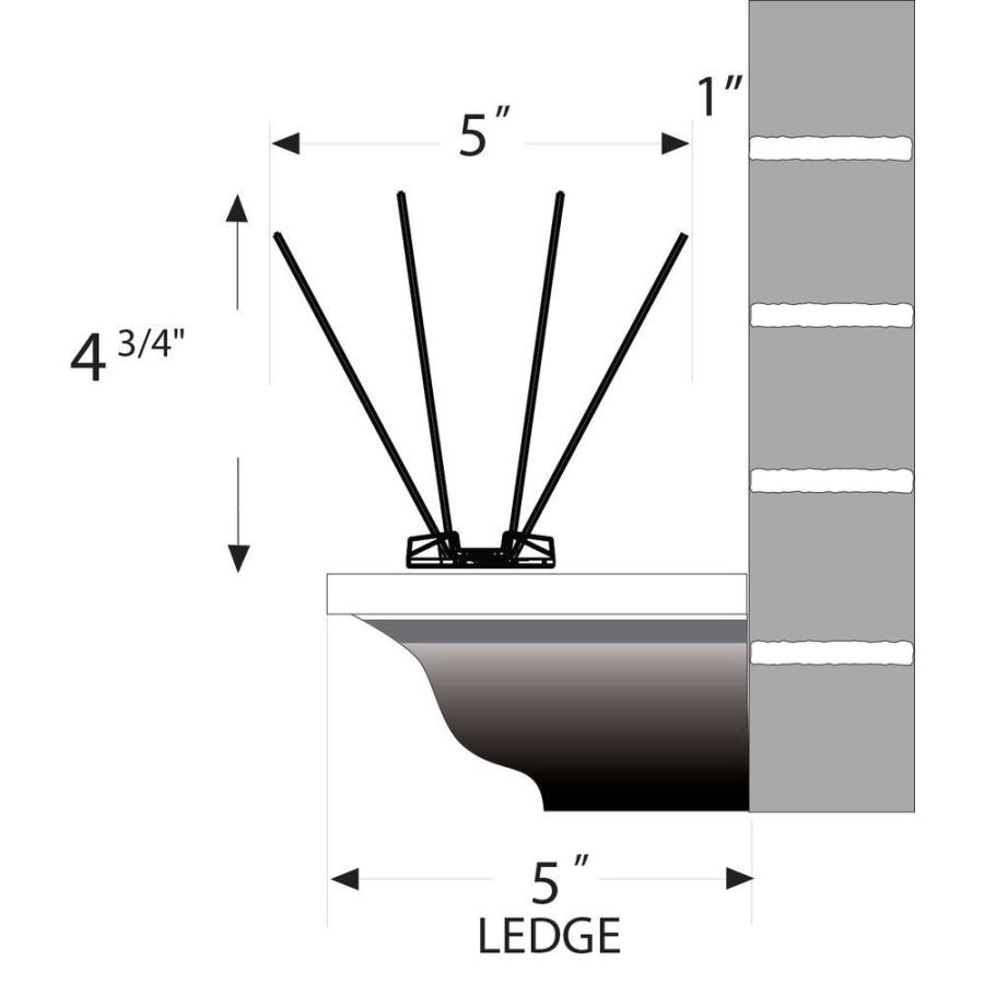 BFG Supply Company - Bird-B-Gone Bird Spike