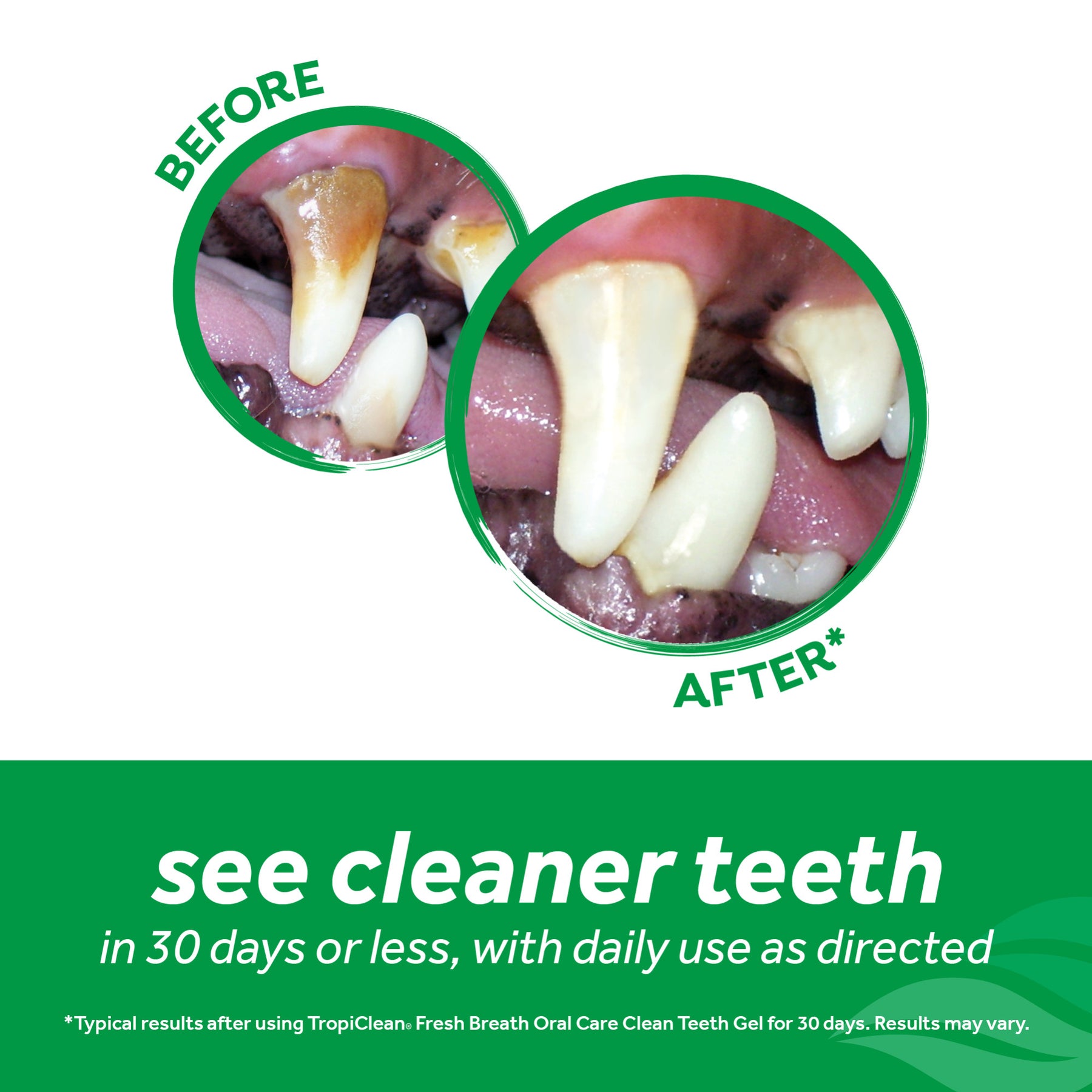 Tropiclean - Fresh Breath Oral Care - Southern Agriculture 