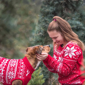 Blueberry Pet - Festival Red | Fair Isle Mock Neck Dog Sweater